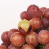 新鲜水果 茅箭区大坪村蜜光葡萄 3斤 商品缩略图3