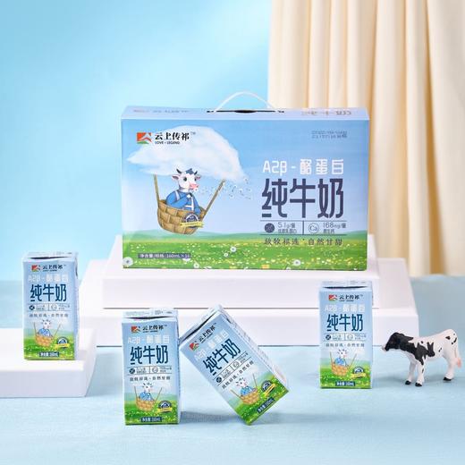 甘肃前进牛奶 A2酪蛋白纯牛奶3箱超值装 商品图1