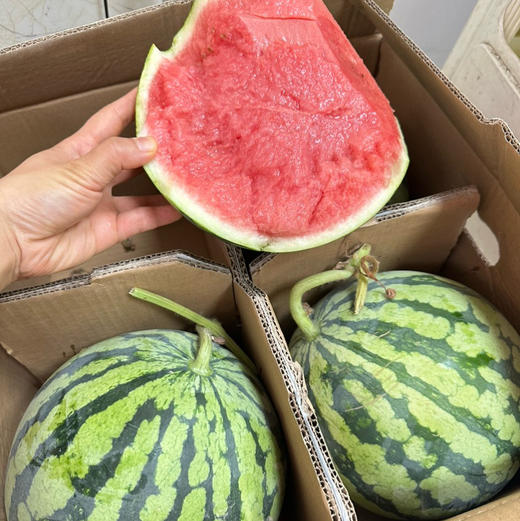 脆甜麒麟西瓜，2号箱 商品图10