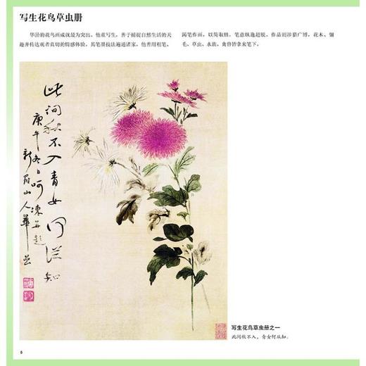 华嵒写意花鸟画谱 商品图3