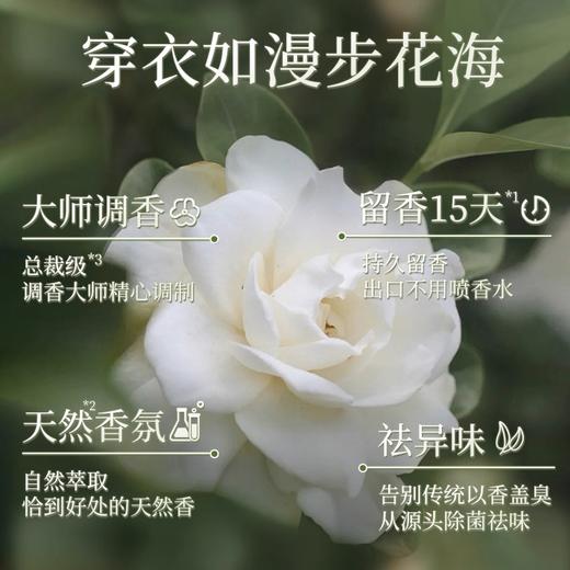 蔬果园天然茉莉白山茶洗衣凝珠32颗*2 商品图0