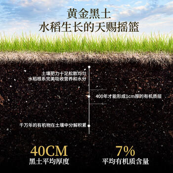 花中花 吉林御珍香米 10斤 东北大米 长粒珍珠米香米 10斤真空装 /粮油调味 /米 /其他大米 商品图3