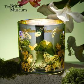 大英博物馆博物志系列果冻氛围灯香薰蜡烛-蝶舞