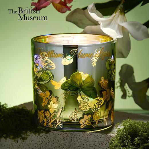 大英博物馆博物志系列果冻氛围灯香薰蜡烛-蝶舞 商品图0