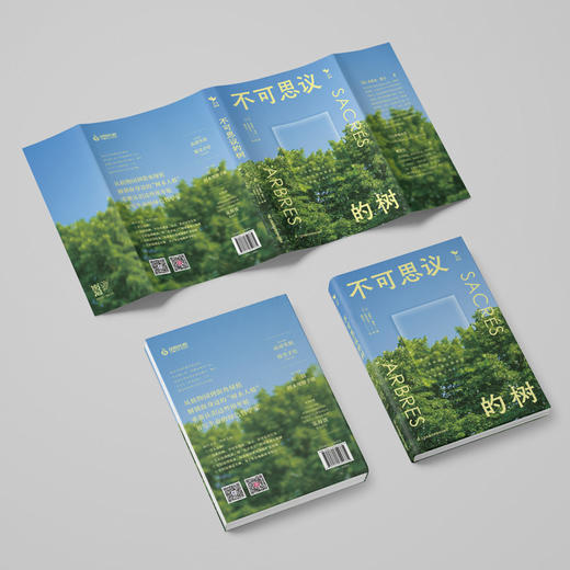 《不可思议的树》-分销 商品图2