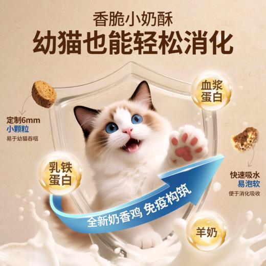 【囤货装】伯纳天纯全价酥化猫粮成猫幼猫通用粮鸡肉乳鸽高鲜肉营养易消化1.5kg*4 商品图4