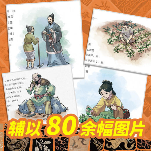 少儿万有文库系列新全19册任选 满3册送帆布袋+儿童文学书 人体简史（少儿彩绘版）比尔·布莱森又一部精彩简史 商品图9