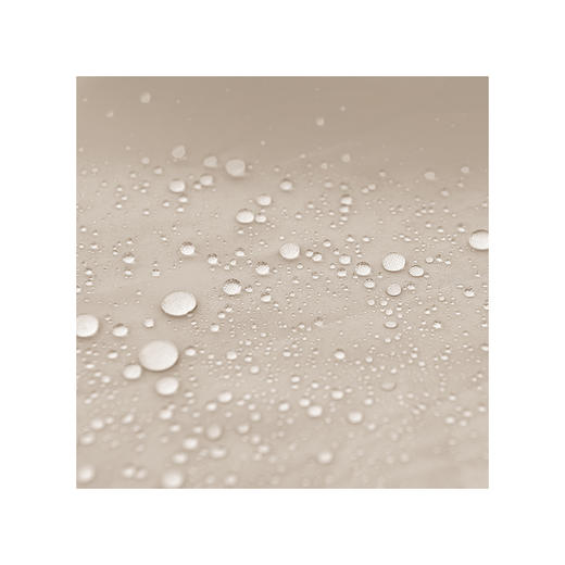 外交官 手抛船帐L（2-3人）DFJ-118L 商品图8