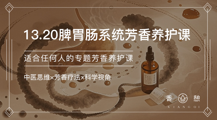 香憩︱脾肠胃系统芳香养护课
