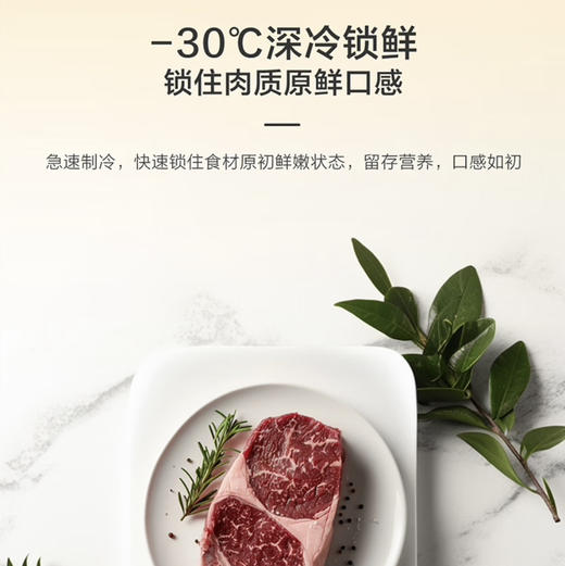 海尔（Haier）冰箱 BCD-508WGHTD1BXHU1 商品图10