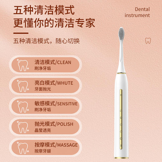 Blue Flash敦煌秘境系列声波电动牙刷BM-YS23 商品图1