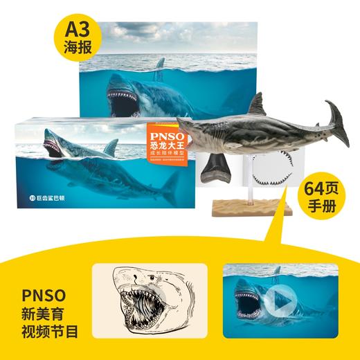 PNSO恐龙大王成长陪伴模型10巨齿鲨巴顿 商品图1