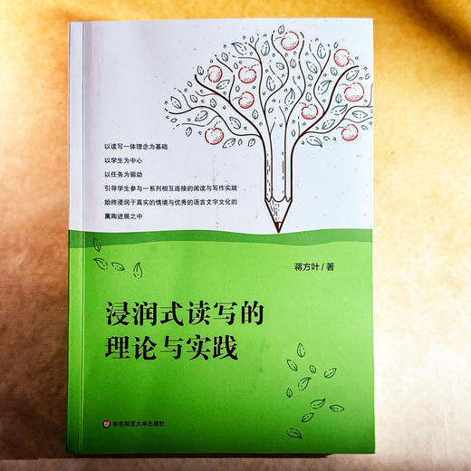 浸润式读写的理论与实践 蒋方叶 小学语文教学 阅读与写作 商品图1