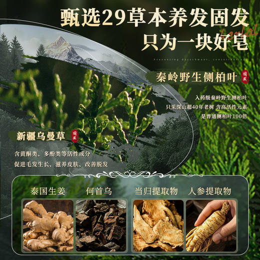 【🔥119选4件】再送面膜𝟏𝟐片  儒意侧柏叶乌斯曼植护固发皂120g  侧柏叶洗发皂何首乌中药新疆乌斯曼草手工洗头固发防断发控油去屑|儒意官方商城 商品图2