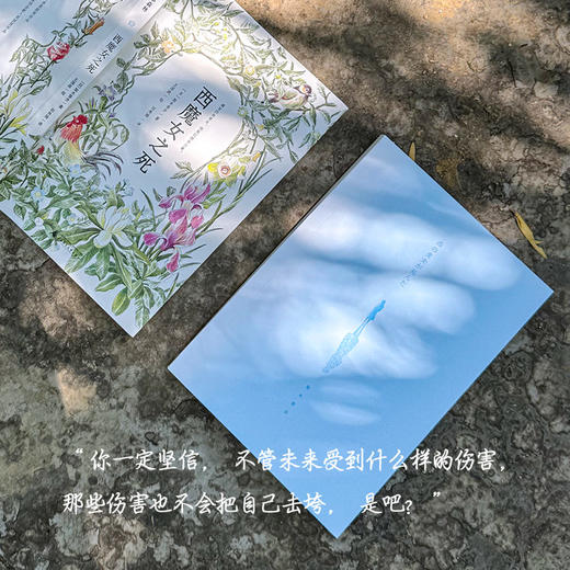 【魔法象·新书】西魔女之死 | 果妈阅读主题书单 商品图2