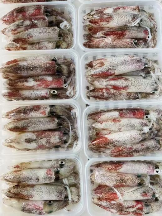 & 招牌鲜甜特色小管🦑~脆爽好吃，鲜美无敌！活冻 商品图3