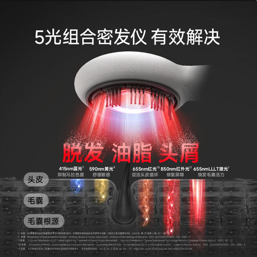 6F 倍轻松  scalp 5 商品图1