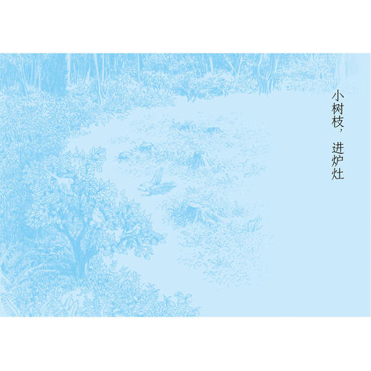 【魔法象·新书】西魔女之死 | 果妈阅读主题书单 商品图7