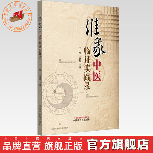 维象中医临证实践录 王晖 王建康 主编 中国中医药出版社 商品图0