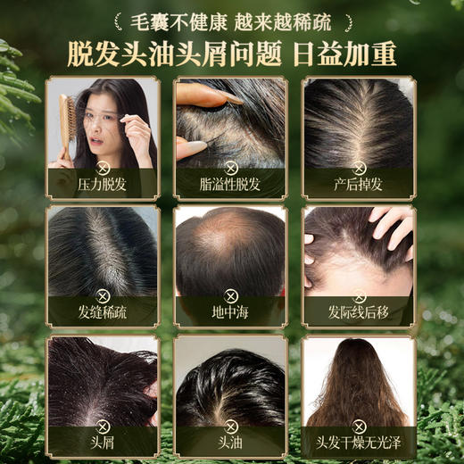 【🔥119选4件】再送面膜𝟏𝟐片  儒意侧柏叶乌斯曼植护固发皂120g  侧柏叶洗发皂何首乌中药新疆乌斯曼草手工洗头固发防断发控油去屑|儒意官方商城 商品图3