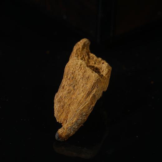 BC.SN5-8.4-5  富森红土沉水(材料) ，4.75g 商品图0