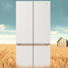 海尔（Haier）冰箱 BCD-508WGHTD1BXHU1