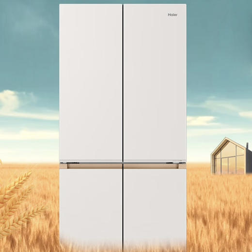 海尔（Haier）冰箱 BCD-508WGHTD1BXHU1 商品图0