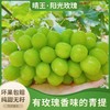 阳光玫瑰#粒粒饱满，果味浓郁，皮薄无籽，汁水丰盈，自带玫瑰花香，现摘现发，绿如宝石葡萄中的爱马仕~ 商品缩略图0