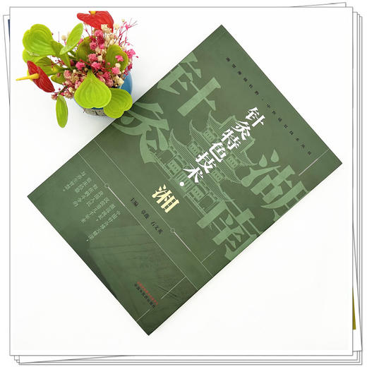 针灸特色技术:湘 章薇 石文英 主编 中国中医药出版社 商品图1