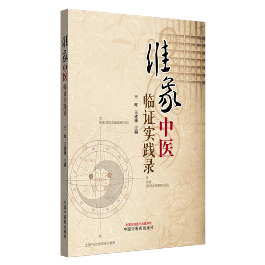 维象中医临证实践录 王晖 王建康 主编 中国中医药出版社 商品图4