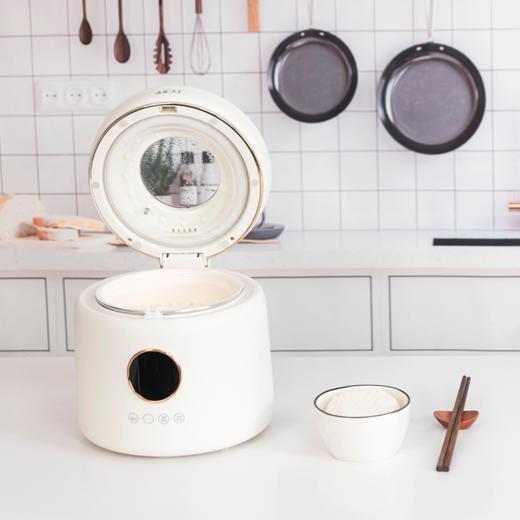 雅佳AKAI电饭煲AFB-20A1B 商品图2