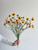 精品花材蛇目菊一扎 商品缩略图1
