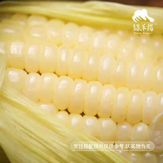 生态山西白糯玉米| 合作生产*Ecological white glutinous corn| Partner Production 商品图1