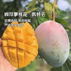 枝悦 正宗攀枝花凯特芒 浓香果肉 产地直发 72小时发货（果蔬生鲜签收24小时内保留完整包装面单可售后，超时不予理赔，拍下默认接受）