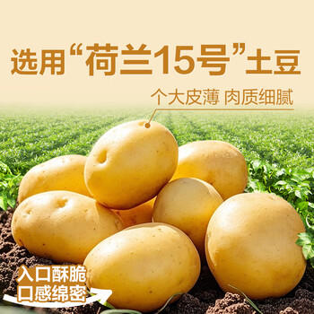 良品铺子酥脆薄饼海苔味早餐饼干儿童零食休闲零食食品年货小吃小零食300g 商品图2