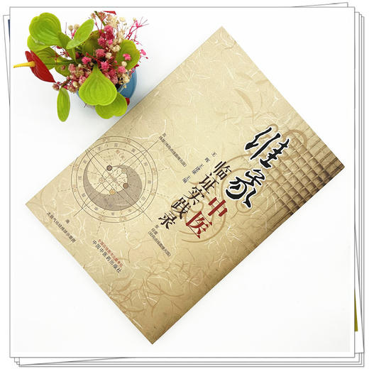 维象中医临证实践录 王晖 王建康 主编 中国中医药出版社 商品图1