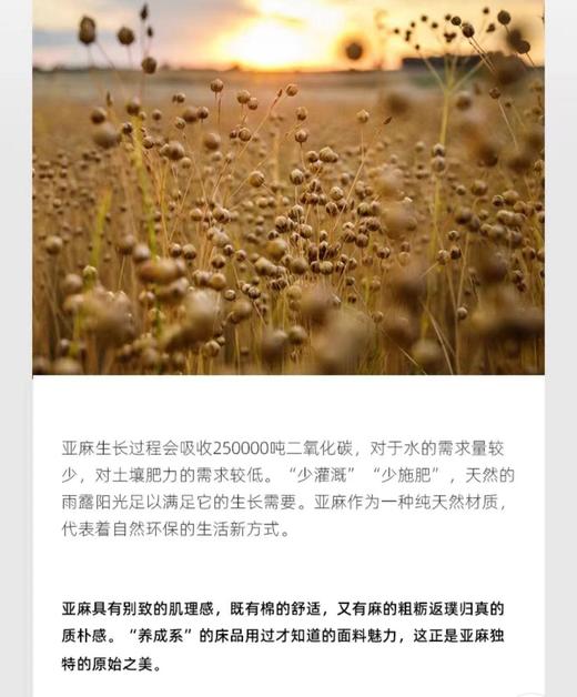 出口棉麻轻法式原麻五件套 商品图6