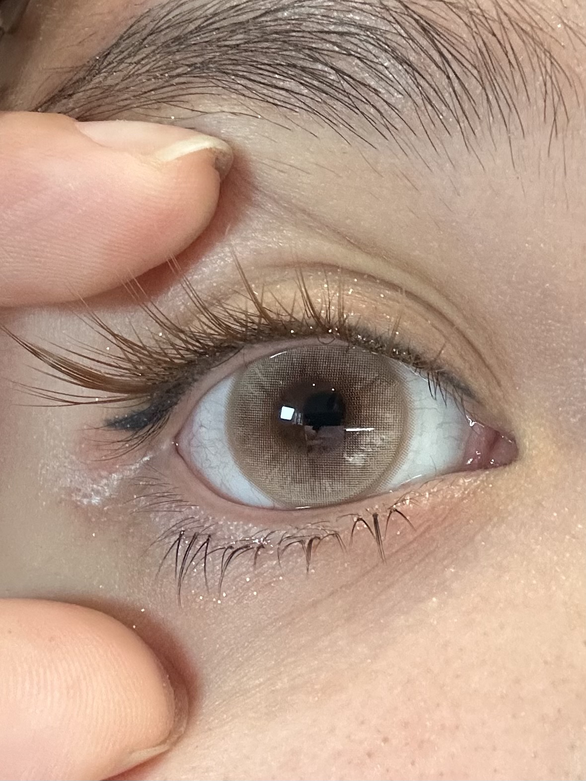 bennycat月抛美瞳 栗栗松茸 14.5mm