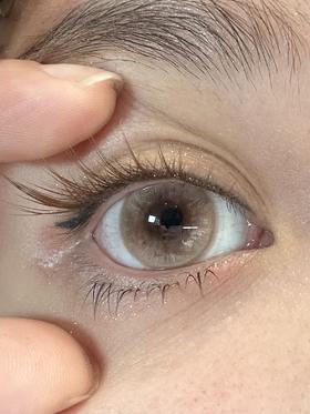 bennycat月抛美瞳 栗栗松茸 14.5mm