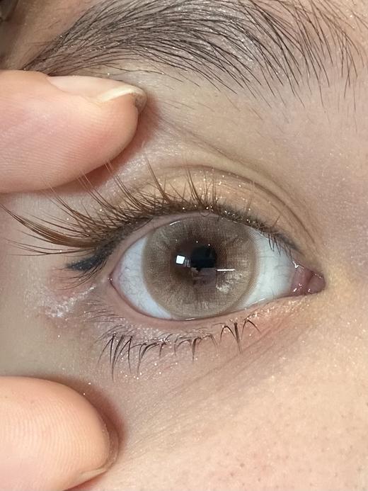 bennycat月抛美瞳 栗栗松茸 14.5mm 商品图0