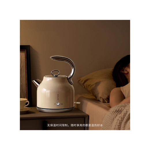 德世朗 电热水壶（保温款）1.7L DDQ-SH205TB 商品图3