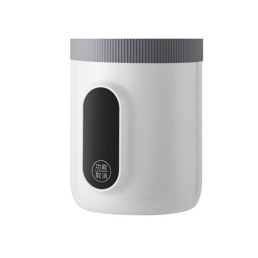 德世朗 多功能电热水杯600mL DDQ-SH226 商品图2