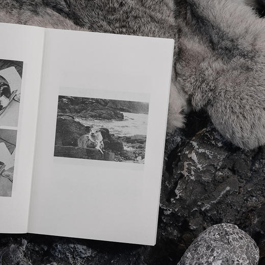 闪亮的水环 | 苏格兰小屋十年幽居，水獭室友双生奇缘，畅销 200 万册自然文学经典，改编电影笑中带泪。罗伯特・麦克法伦推荐 商品图6