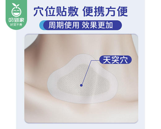 章老三咽扁贴/1盒（5贴）限用日期：28年1月 商品图3