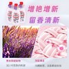 葆俪莱彩漂洗剂彩衣漂渍液深层去渍增艳增新留香清新彩色衣物通用500ml效期26年12月 商品缩略图2