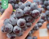 云南蓝莓葡萄礼盒/1箱（1.25kg±100g） 商品缩略图1