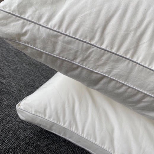 LHX4858 日本1899酒店枕芯 商品图6