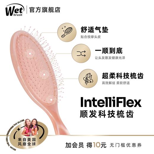 美国Wet Brush干湿两用顺发梳-炫彩系列 商品图1