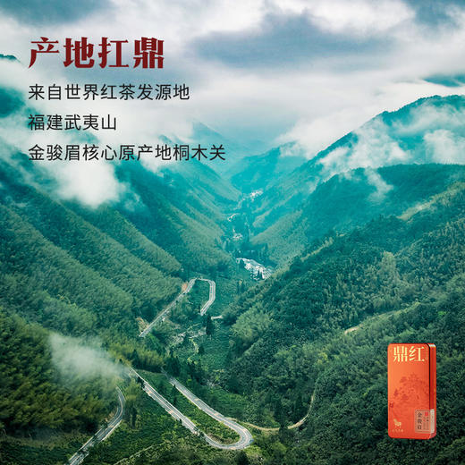 八马茶业 | 鼎红10000·金骏眉尊享装单罐（16.8克） 商品图1