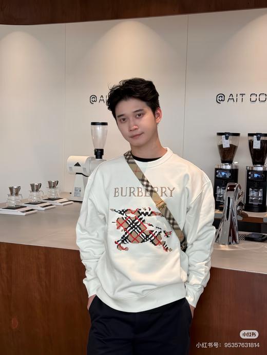 B家 25秋冬新款十字刺绣大战马圆领卫衣 Z-15546 商品图4